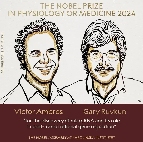 2024年諾貝爾生理學(xué)或醫(yī)學(xué)獎獲獎?wù)?，Victor Ambros和Gary Ruvkun